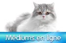 Mediums gratuit en ligne
